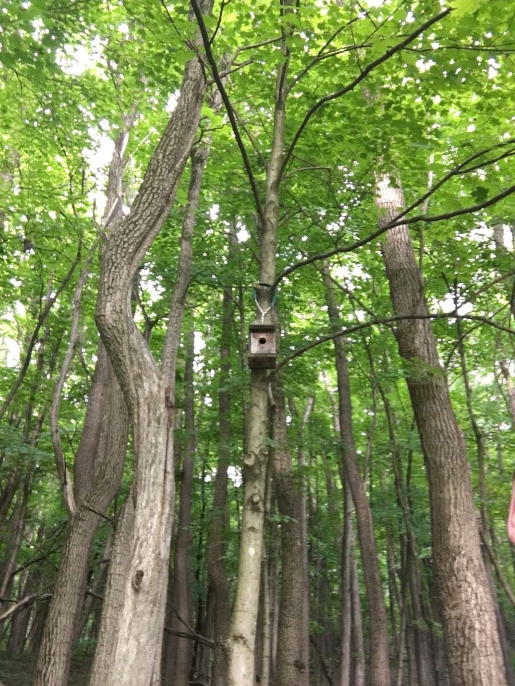 Hassen Creek Nature Trail | 7395-7399 Hilltop Rd, Allentown, PA 18106, USA