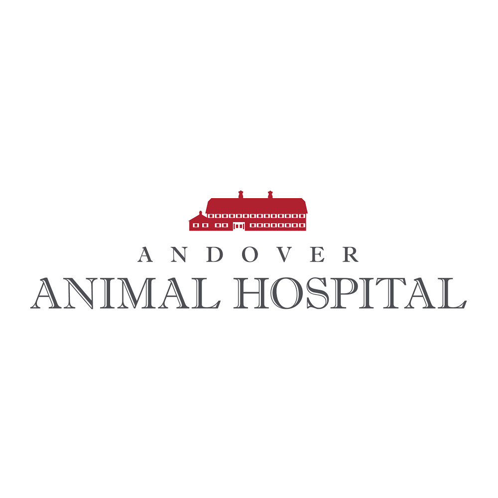 Andover Animal Hospital | 243 Newton Sparta Rd, Newton, NJ 07860, USA | Phone: (973) 940-2276