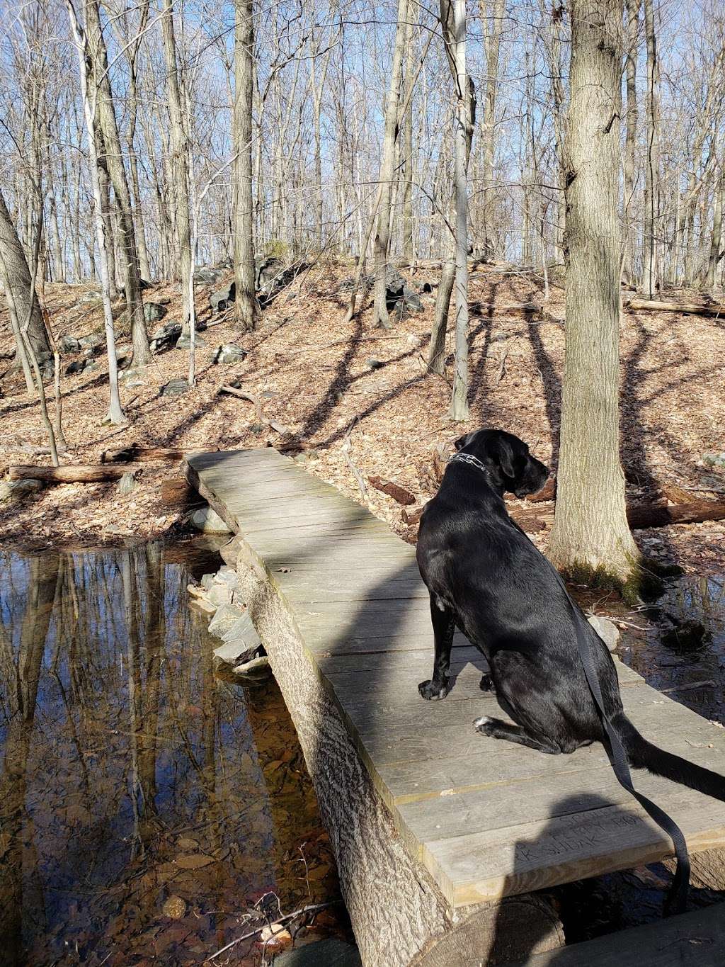 Juhring Nature Preserve | Dobbs Ferry, NY 10522