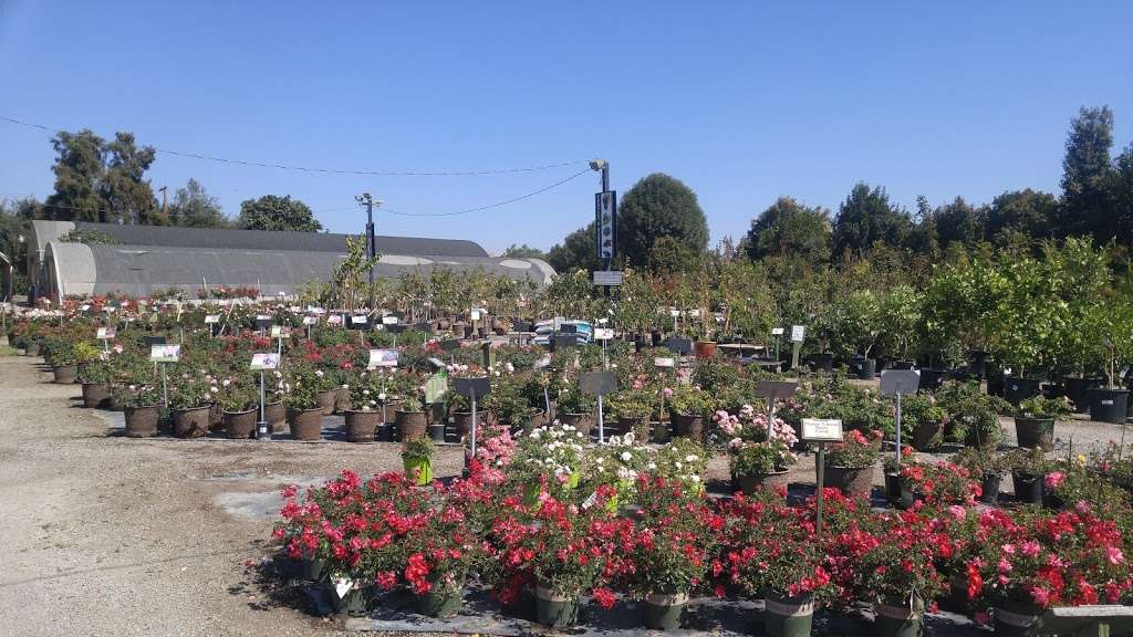 Regan Nursery | 4268 Decoto Rd, Fremont, CA 94536, USA | Phone: (510) 797-3222