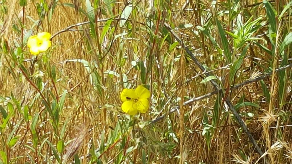 Mast Blvd Hiking Trail Head | Santee, CA 92071, USA