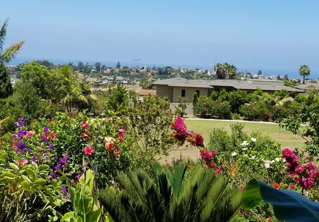 Hawk View Park | 1309 Blue Heron Ave, Encinitas, CA 92024, USA | Phone: (760) 633-2740