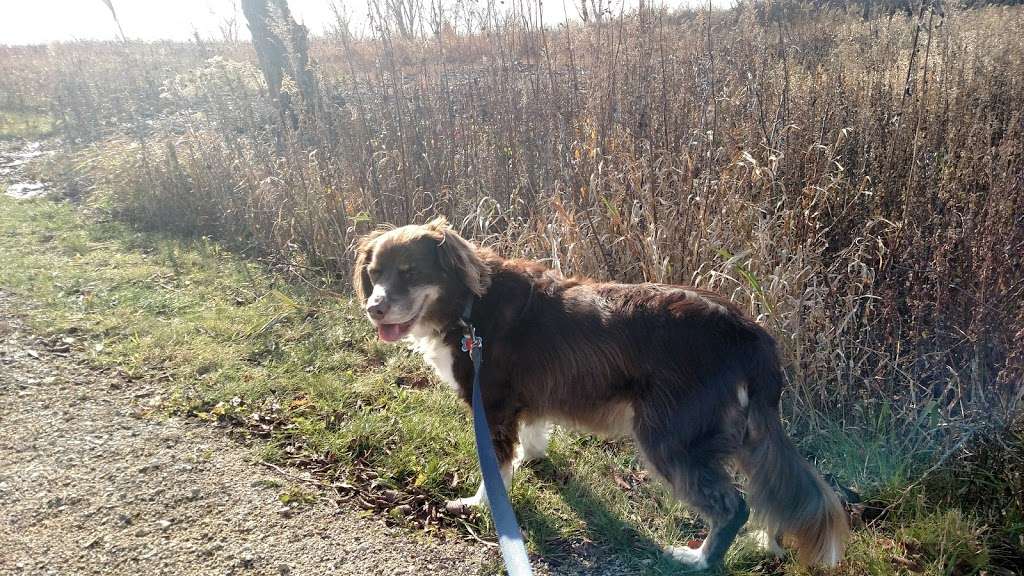 Cuba Marsh Forest Preserve | 24205 W Cuba Rd, Deer Park, IL 60010, USA | Phone: (847) 367-6640