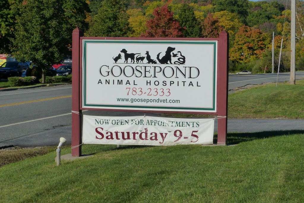 Goosepond Animal Hospital | 1110 New York State Route 17M, Monroe, NY 10950 | Phone: (845) 783-2333