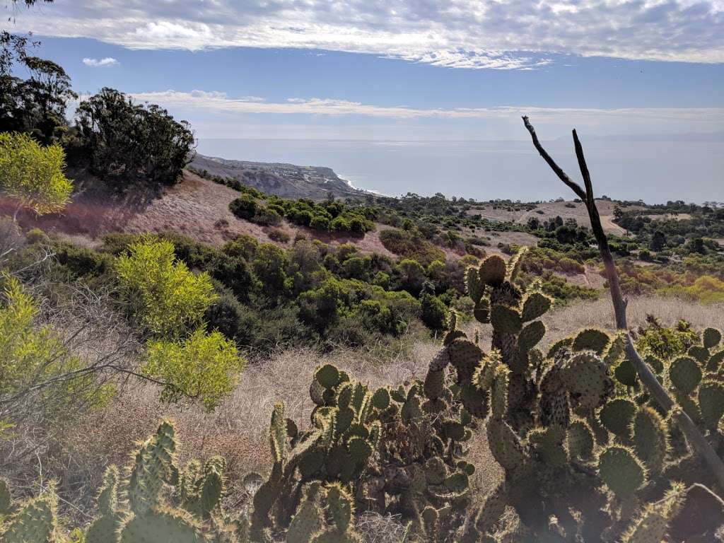 Del Cerro Reserve | Rancho Palos Verdes, CA 90275, USA