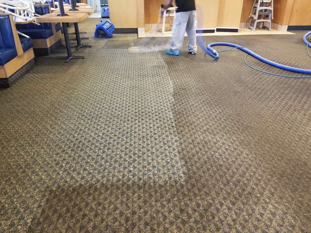 New Dawn Carpet Cleaning | 1526 S Austin Blvd, Cicero, IL 60804, USA | Phone: (708) 263-7838