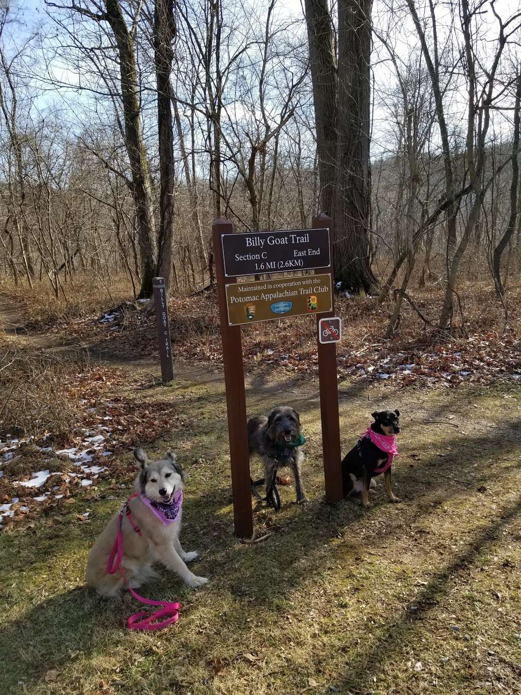 Billy Goat Trail Section C | Billy Goat Trail Section C, Potomac, MD 20854, USA