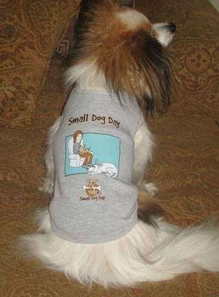 Small Dog Day | 34540 Brock Ln, Acton, CA 93520, USA | Phone: (661) 269-0231