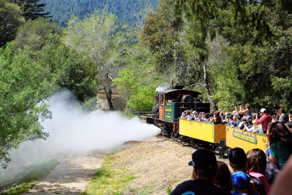 Roaring Camp, Big Trees and Pacific Railroad Station | N Big Trees Park Rd, Felton, CA 95018, USA