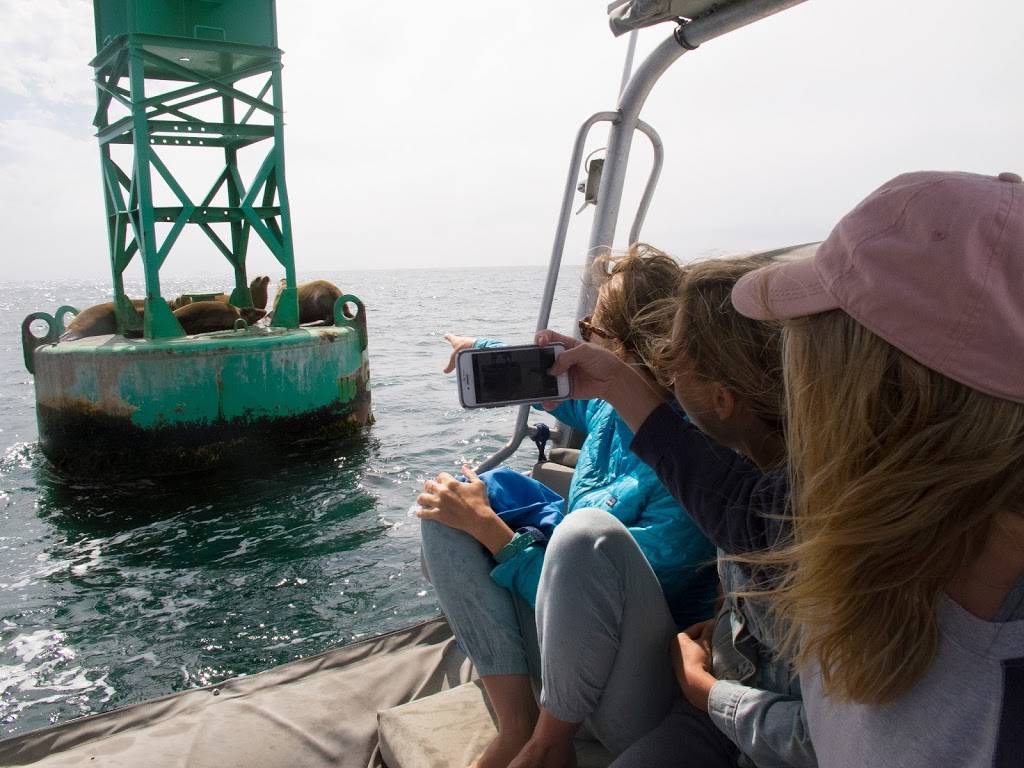 Makai Tours San Diego | 955 Harbor Island Dr, San Diego, CA 92101, USA | Phone: (619) 493-9785