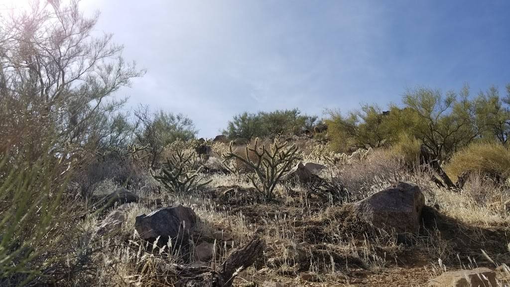 Sunrise Trail Scenic View | Sunrise Trail, Scottsdale, AZ 85259, USA