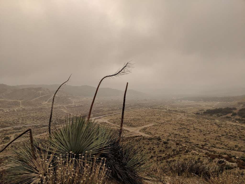 Cottonwood Campground | Frazier Park, CA 93225, USA