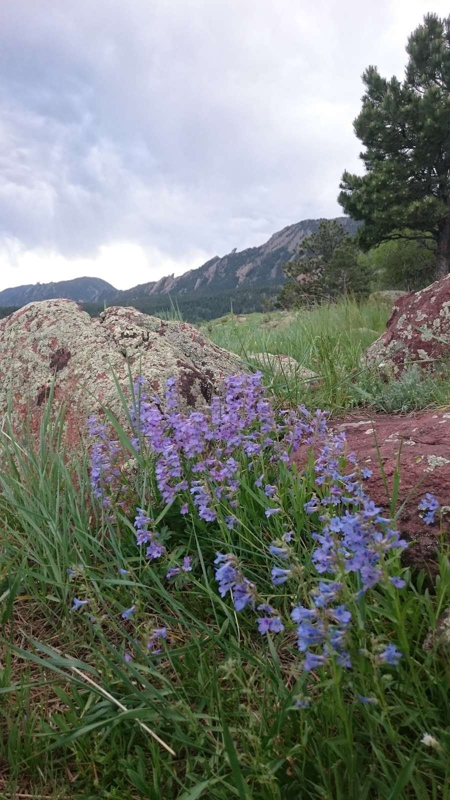 NCAR Trail Head | 1850 Table Mesa Dr, Boulder, CO 80305, USA