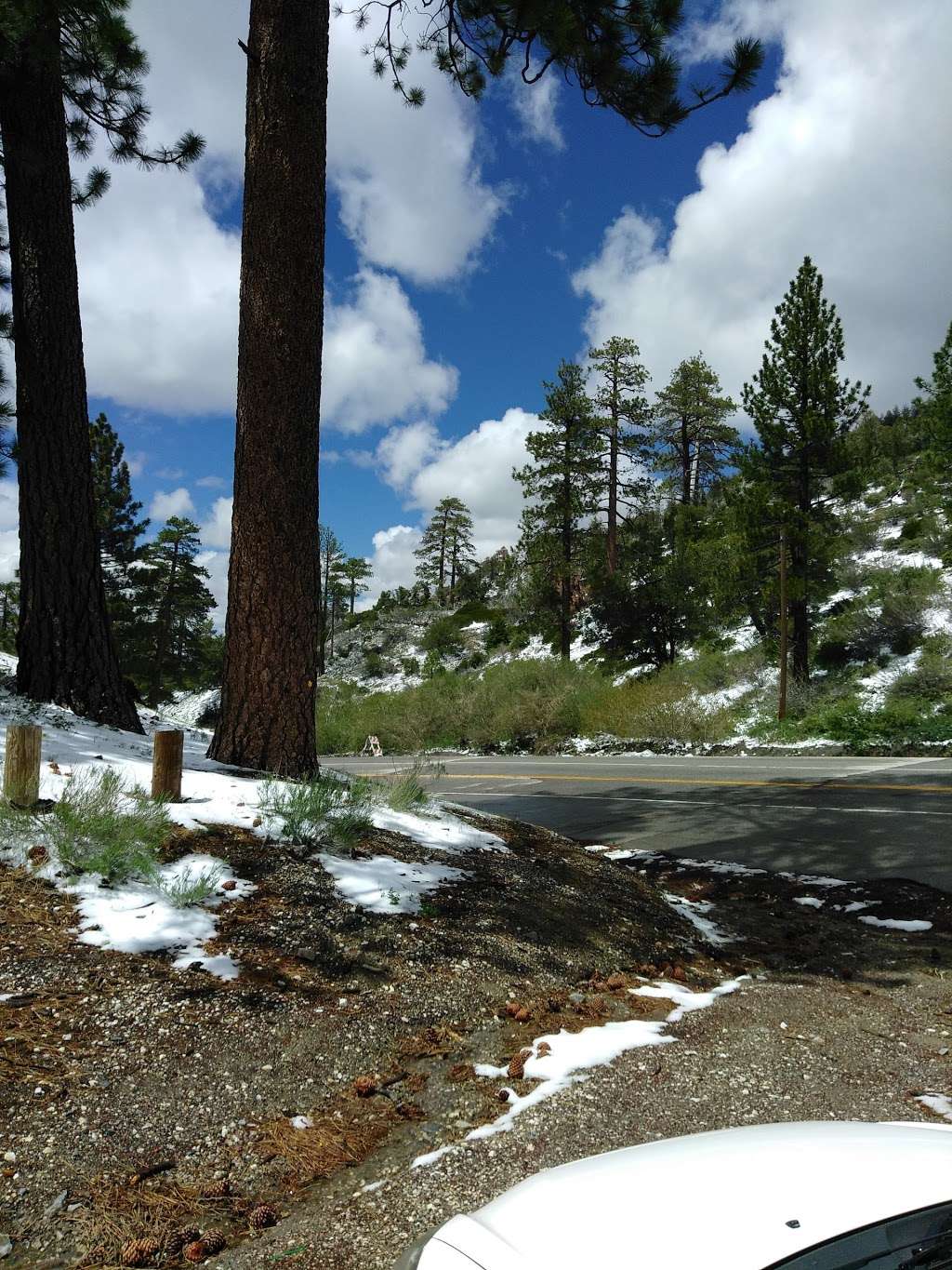 Arch Picnic Area | 34°2249.4"N 117°4141., CA-2, Valyermo, CA 93563, USA