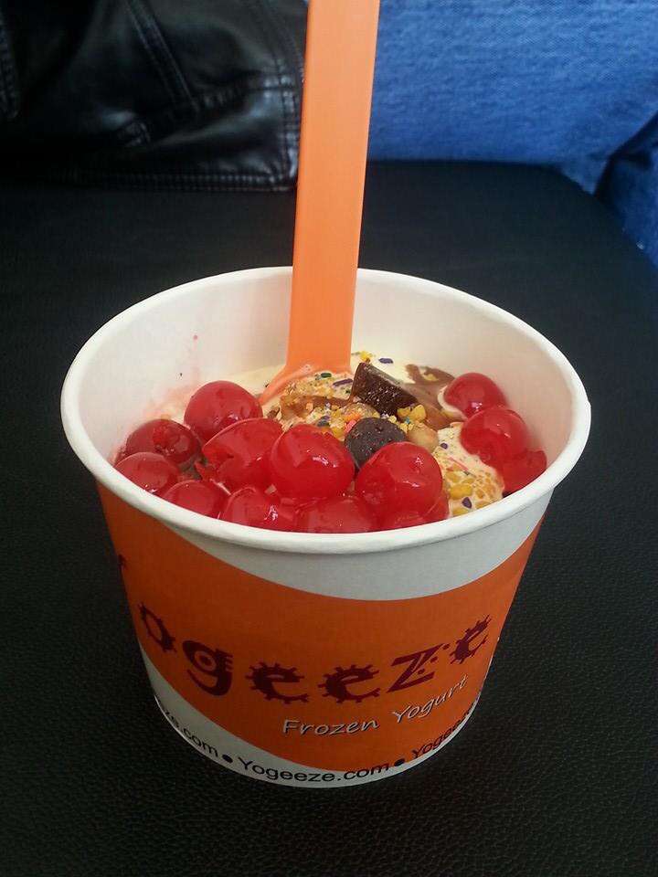 Yogeeze Frozen Yogurt | 2914 Commerce Dr, Johnsburg, IL 60051 | Phone: (815) 344-7932