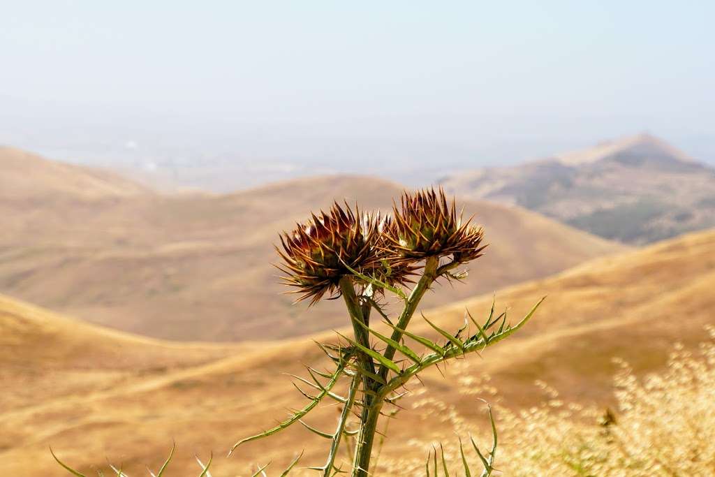 Bay Area Ridge Hiddenbrooke Trailhead | Ridge Trail, Vallejo, CA 94591, USA | Phone: (415) 561-2595