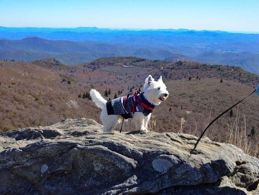 Dr. Marguerite Gleason, DVM | 11725 Hambright Rd, Huntersville, NC 28078, USA | Phone: (704) 912-5333