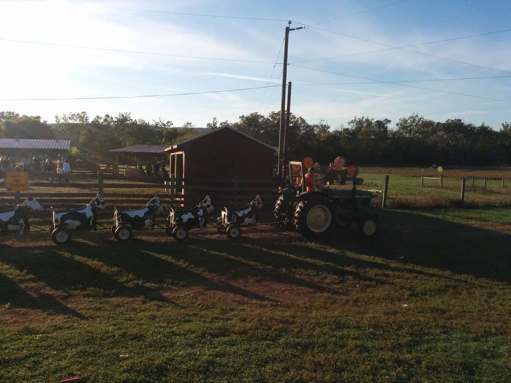 Temple Hall Fall Festival & Corn Maize | 15855 Limestone School Rd, Leesburg, VA 20176, USA | Phone: (703) 779-9372