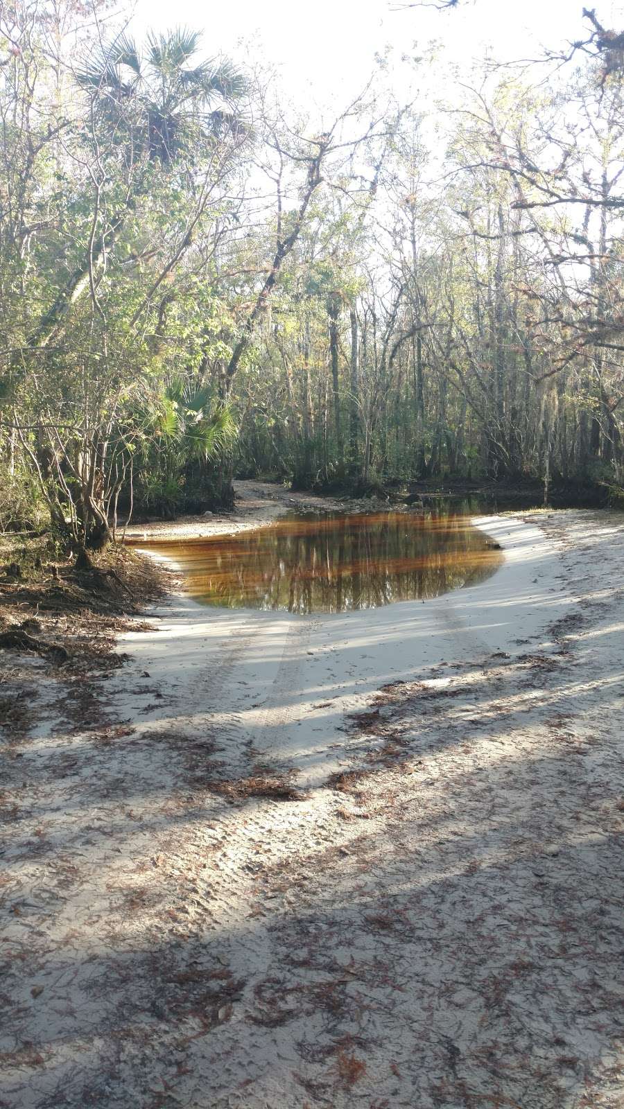 Bull Creek Wildlife Management Area | St Cloud, FL 34773, USA | Phone: (850) 488-3831