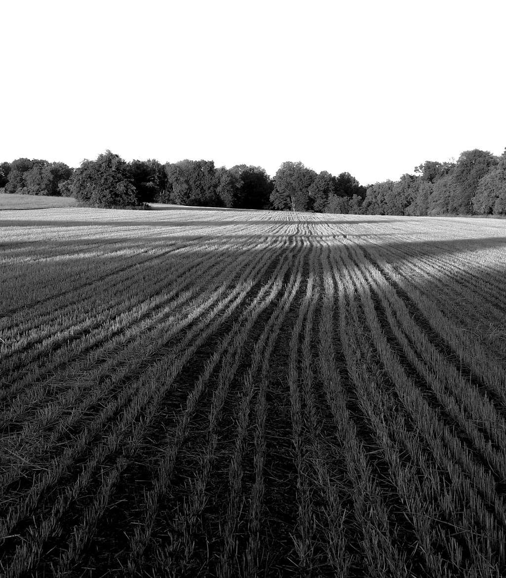 Franklin Park | 825 Canal Rd, Princeton, NJ 08540, USA