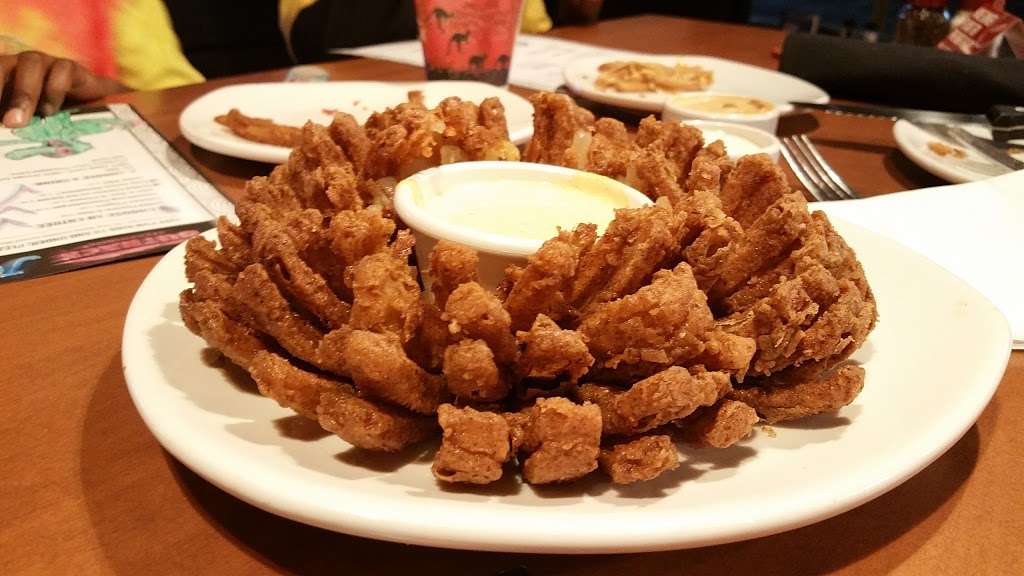 Outback Steakhouse | 1574 N Dupont Hwy st 800, Dover, DE 19901, USA | Phone: (302) 244-3425