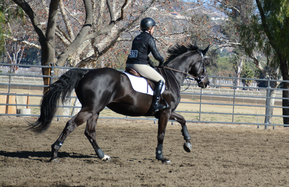 Jasmin Stair Stables | 6845 Via Del Charro, Rancho Santa Fe, CA 92091, USA | Phone: (619) 992-0689