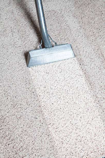 Lombardy Carpet Care | 3380 Lombardy Ln, Dallas, TX 75220, USA | Phone: (972) 843-9344