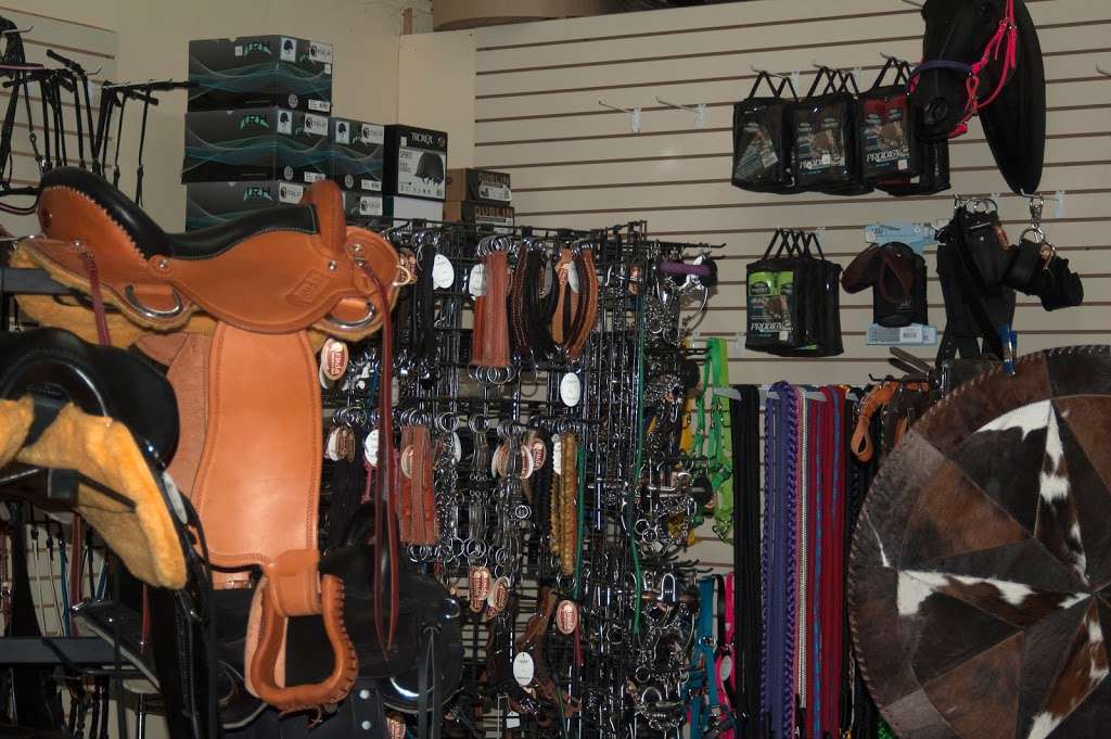 Kuda Store | 1331 Green Forest Ct, Winter Garden, FL 34787, USA | Phone: (407) 614-3794