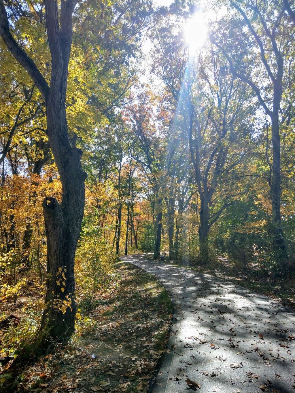 Ten Mile River Preservation Trail | Unnamed Road, Pawtucket, RI 02861, USA