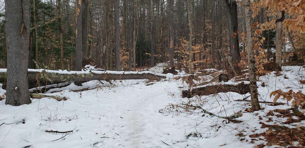 Betty Arnold Forest Desmarais Trailhead | 12-24 Austin Rd, Amherst, NH 03031