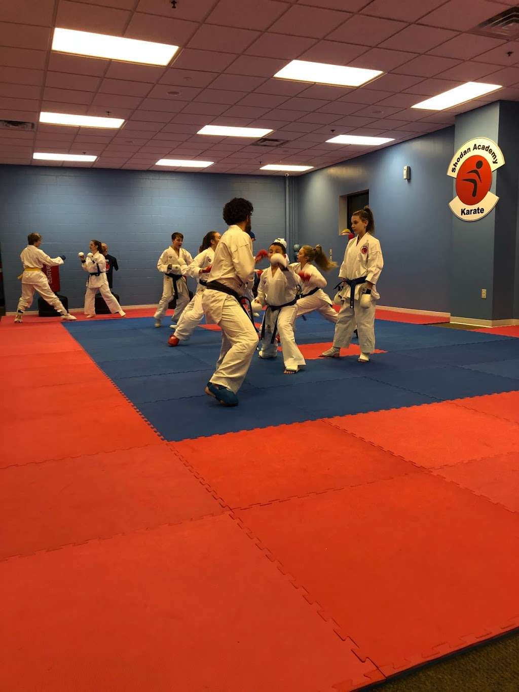 Shodan Karate Academy | 1495 West Main Street, Greenwood, IN 46142 | Phone: (317) 865-8850