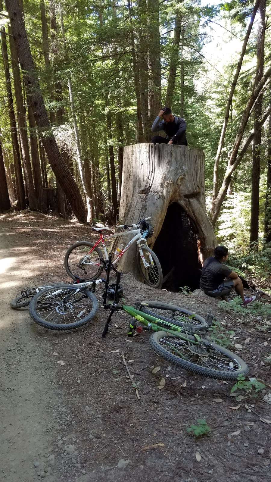 Soquel Demonstration Trail Head | Creek,, Los Gatos, CA 95033, USA