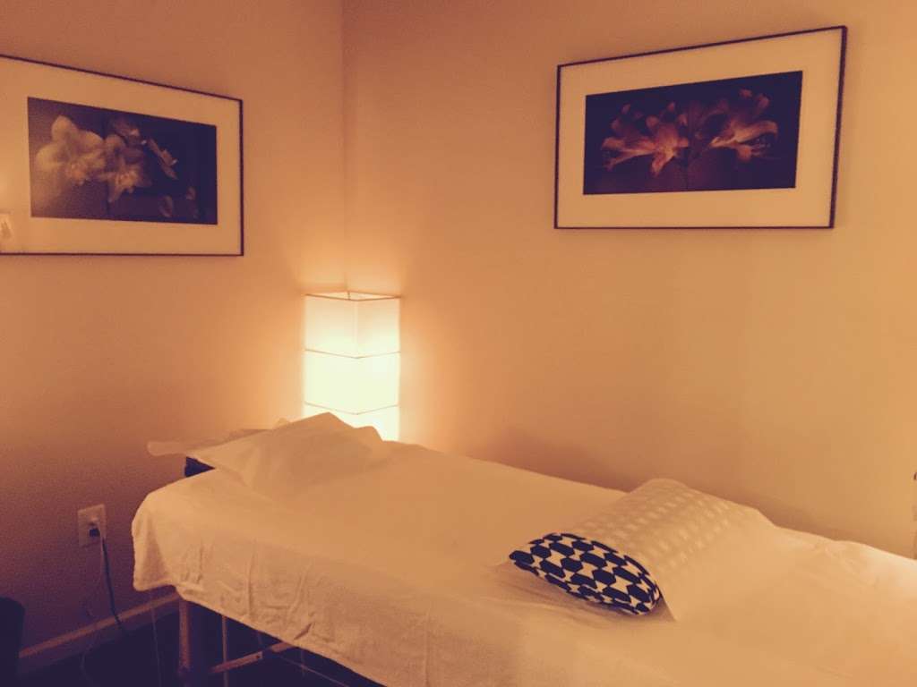 Botjer Acupuncture | 105 Shad Row -1C, Piermont, NY 10968 | Phone: (551) 655-1531