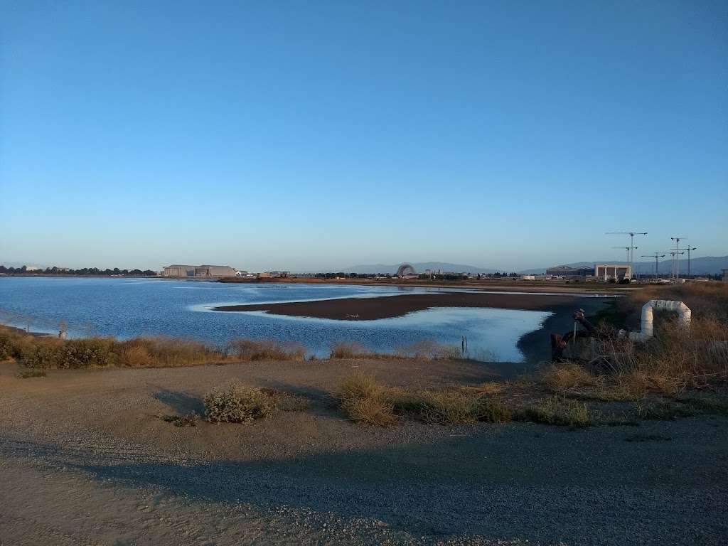 Stevens Creek Shoreline Nature Study Area | Mountain View, CA 94043, USA