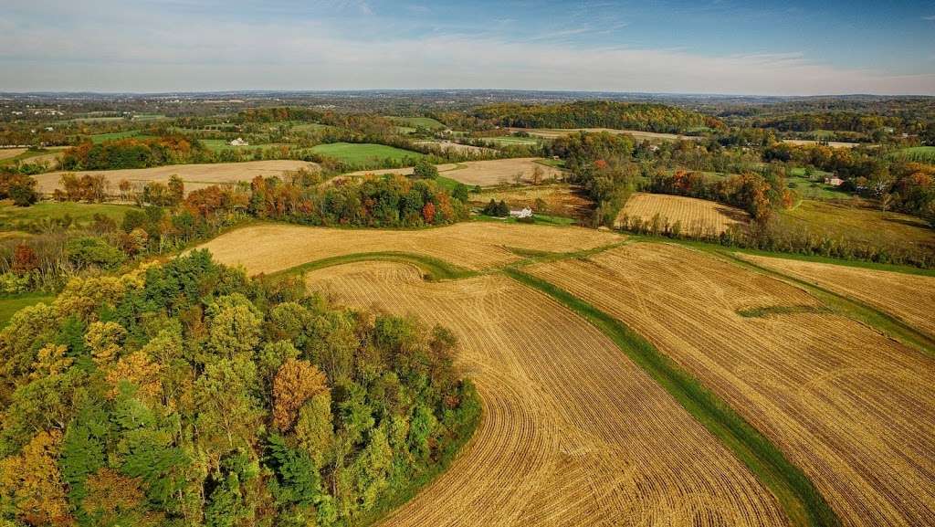 Natural Lands Bryn Coed Preserve | Flint Rd, Chester Springs, PA 19460, USA | Phone: (610) 353-5587