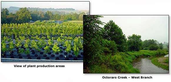 Octoraro Native Plant Nursery | 6126 Street Rd, Kirkwood, PA 17536 | Phone: (717) 529-3160