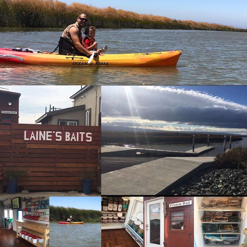 Laines Baits and Rentals | 907 Elizabeth St, San Jose, CA 95002 | Phone: (408) 262-0349