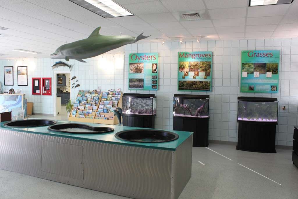 Marine Discovery Center | 520 Barracuda Blvd, New Smyrna Beach, FL 32169, USA | Phone: (386) 428-4828