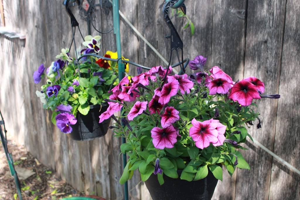 Restorative Alternative Wellness | 9404 Buttonwood Ave, Oklahoma City, OK 73160, USA | Phone: (405) 237-3780