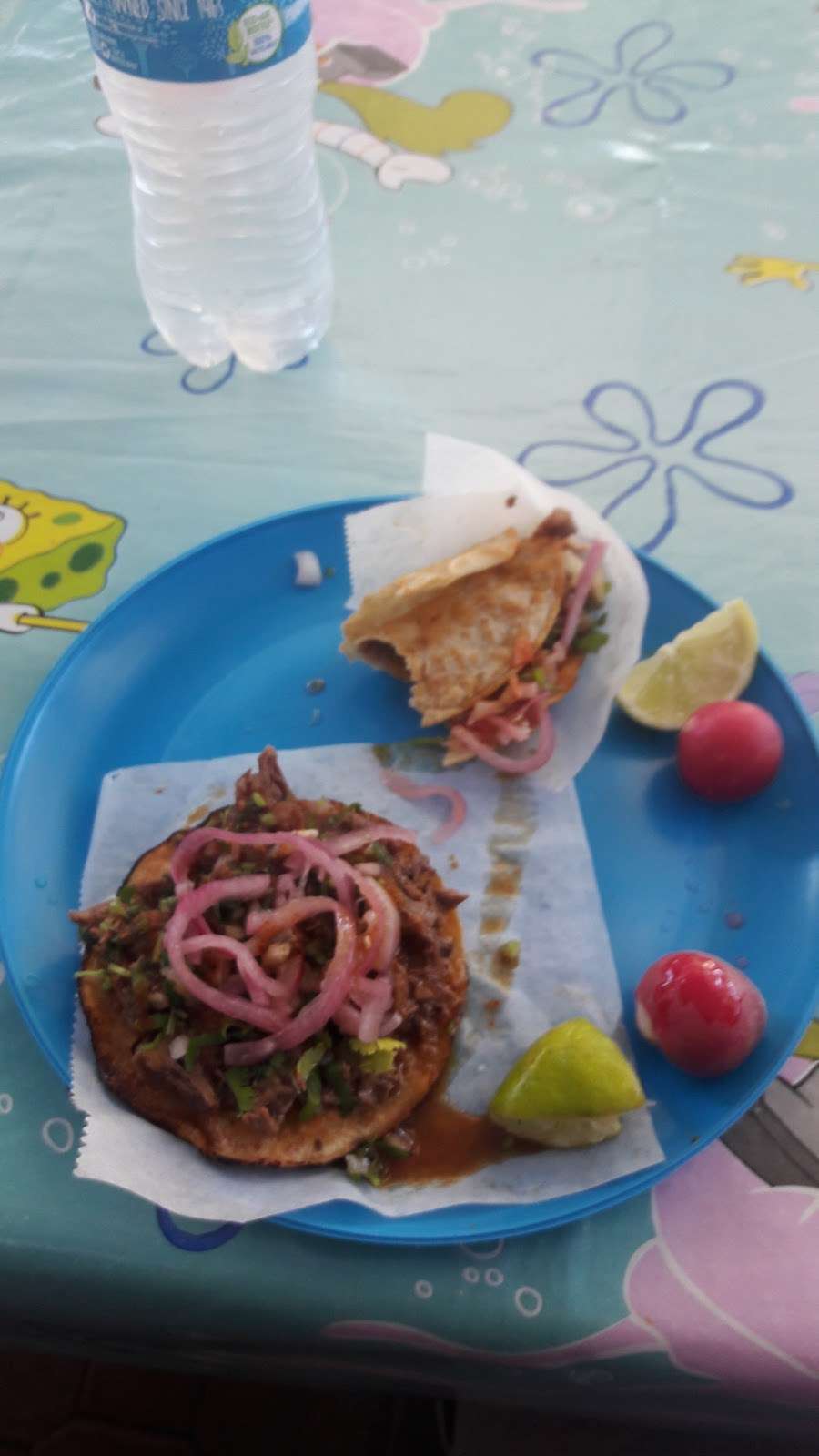 Tacos De Birria "El Sabroso" | 1160 E 43rd St, Los Angeles, CA 90011