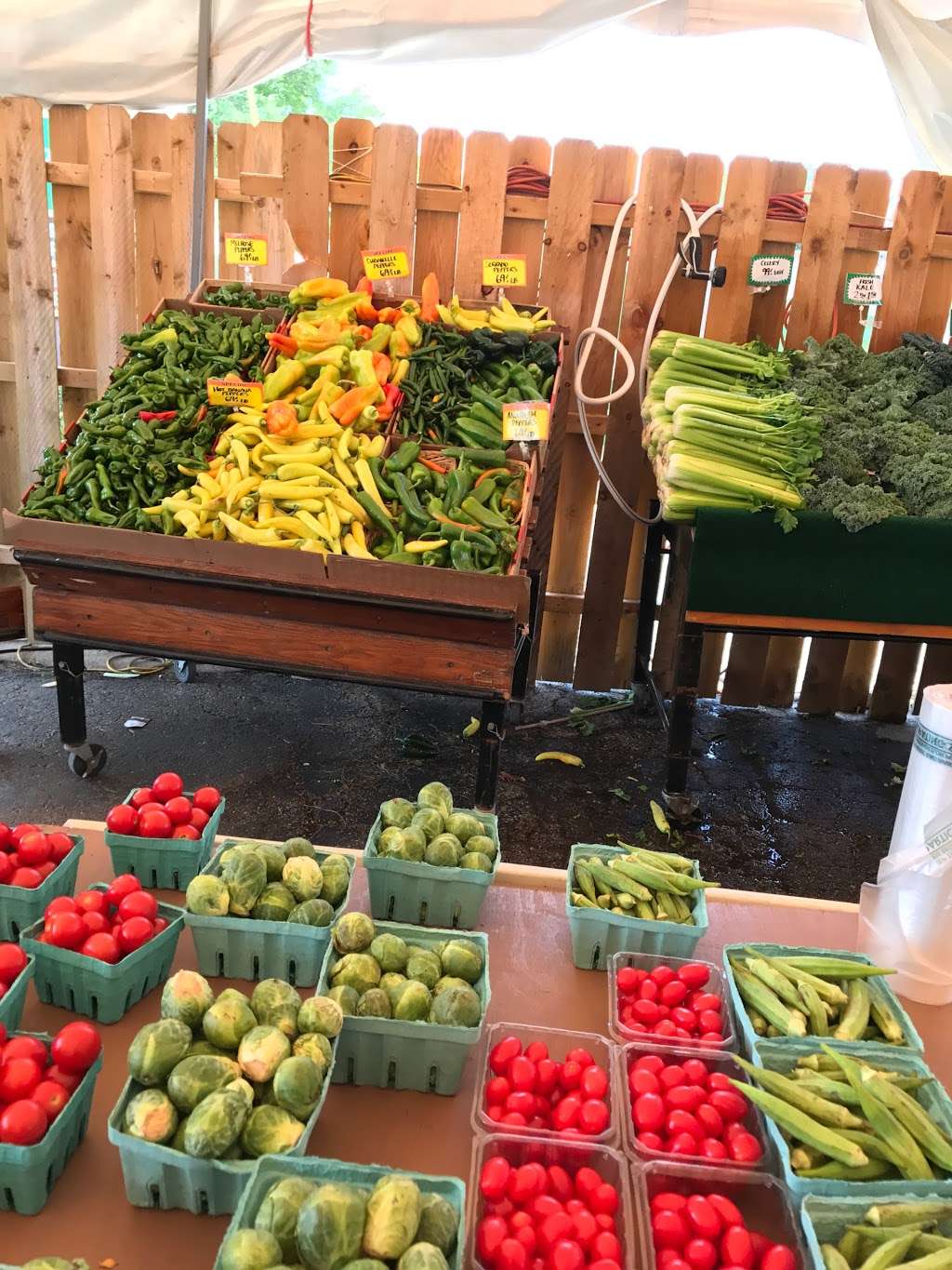 Toms Farm Stand Bartlett | 105 E Lake St, Bartlett, IL 60103