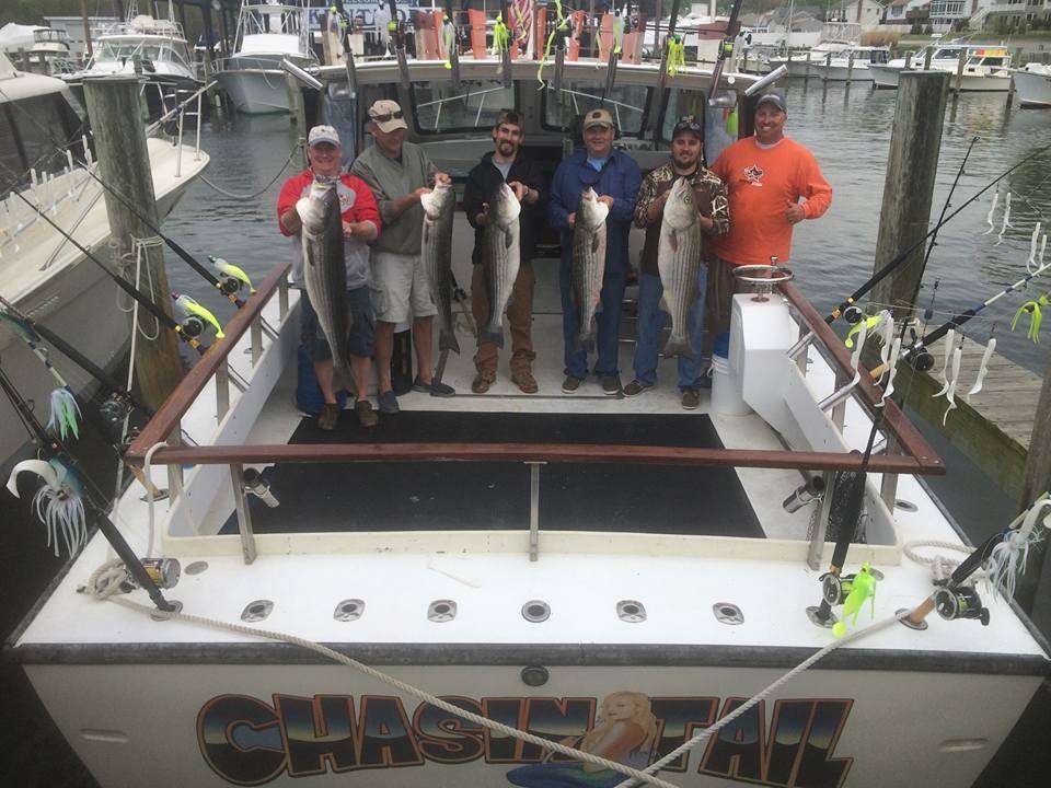 Chasin Tail Charters | 108 Talbot Rd, Stevensville, MD 21666, USA | Phone: (410) 320-6254