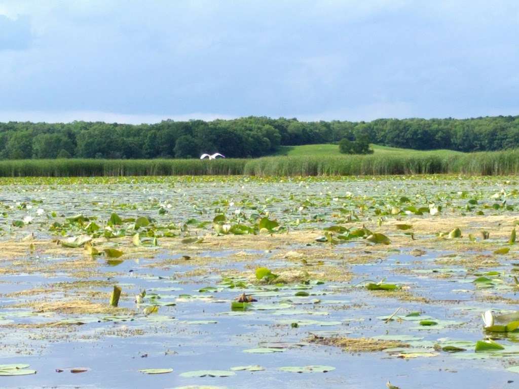 Turner Lake Fen Nature Preserve | Spring Grove, IL 60081, USA