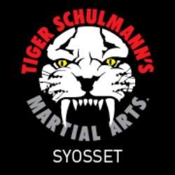 Tiger Schulmanns Martial Arts | 354 Jericho Turnpike, Syosset, NY 11791, USA | Phone: (516) 208-2908