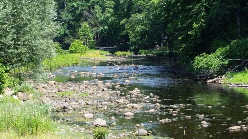 Wetlands | Hackettstown, NJ 07840, USA