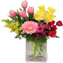 Oak Creek Florist | 4966 Pacheco Blvd suite a, Martinez, CA 94553 | Phone: (925) 988-0123