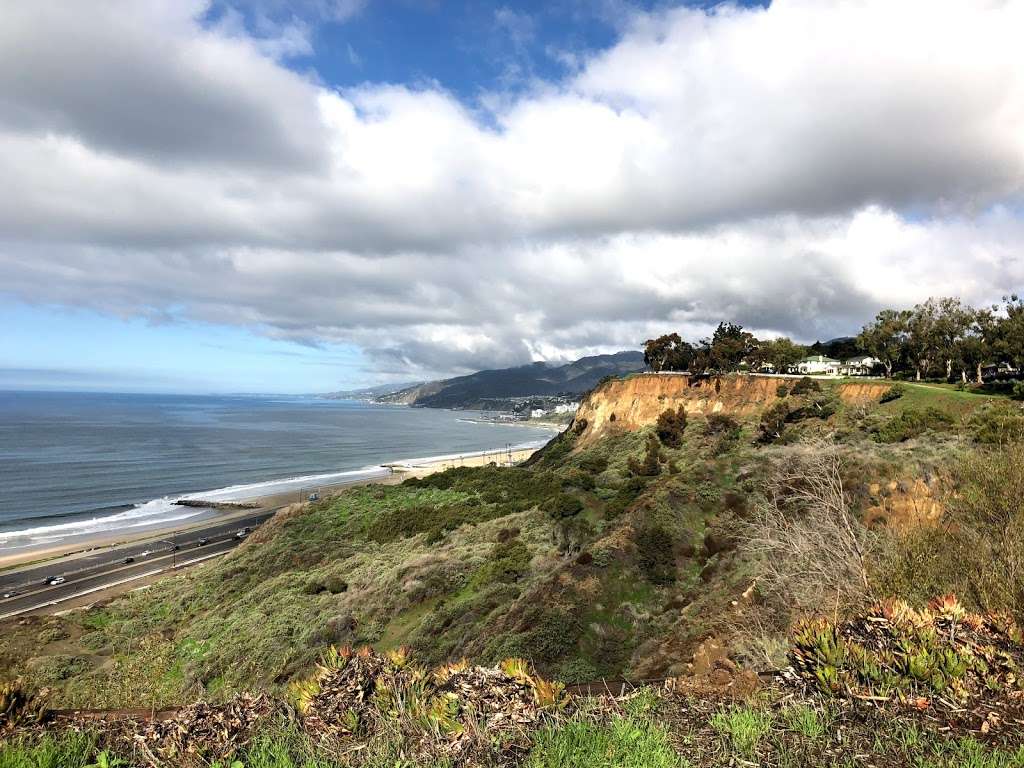 The Point at the Bluffs | 301 N Mt Holyoke Ave, Pacific Palisades, CA 90272, USA