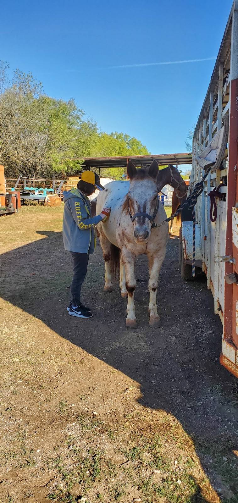 ROPER Horseback Riding | 4991 Higdon Rd, San Antonio, TX 78223, USA | Phone: (210) 860-3037