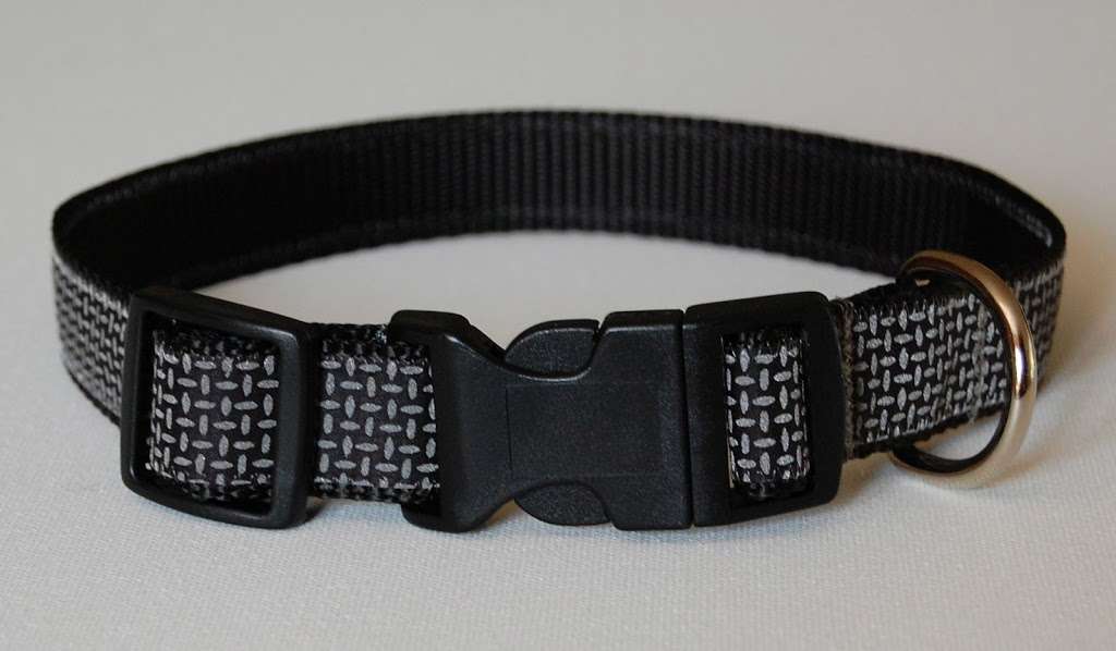 Canine Collections | 1 Cail Farm Rd, Sudbury, MA 01776, USA | Phone: (508) 930-7555