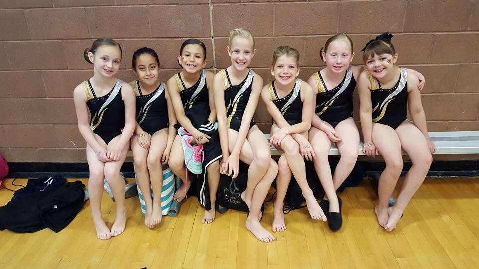 Salcianu Elite Academy of Gymnastics | 1000 Stephanie Pl #1, Henderson, NV 89014, USA | Phone: (702) 795-3332